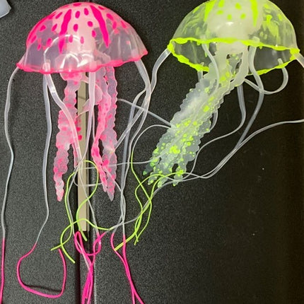 Jellyfish