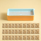 Blue Orange With 20Bag Grass