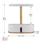 bamboo / EU