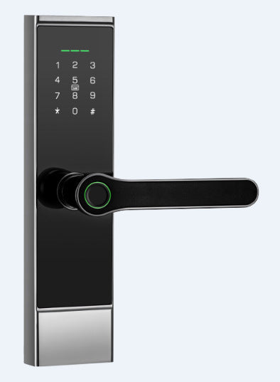 Password Card Chinese And English WIFI Graffiti Bluetooth TTLOC Fingerprint Lock