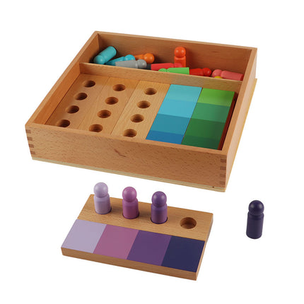 Montessori Teaching Aids Sensory Color Game