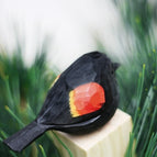 Redwinged blackbird