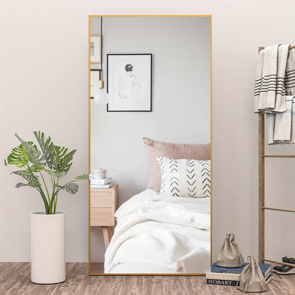 65" * 24 ", Floor Standing Mirror, Unique Vertical Mirror, Black Metal Frame Mirror