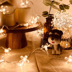 Colorful Cherry Blossoms / 9 M 50 Lights