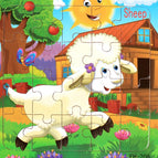 Sheep
