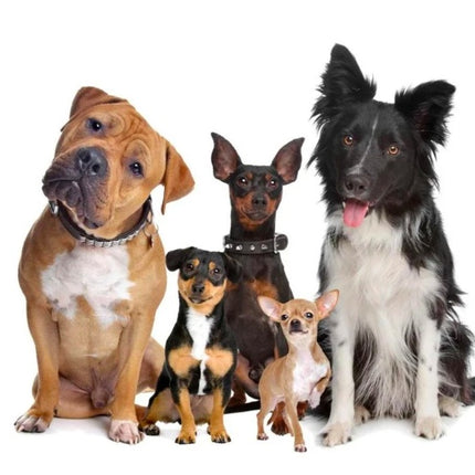 Pet Wireless Trainer And Bark Stop Device