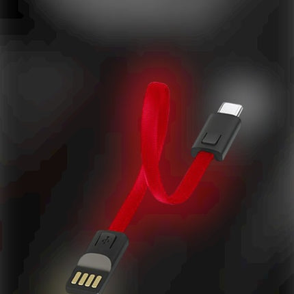 Fast charging cable keychain