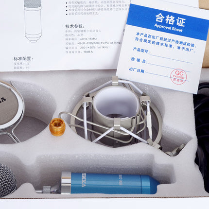 Direct manufacturers   condenser mic Anne condenser