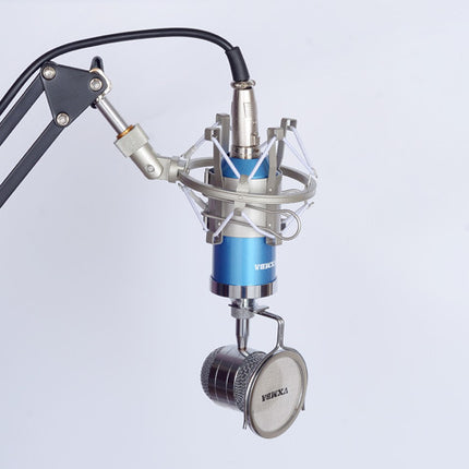 Direct manufacturers   condenser mic Anne condenser