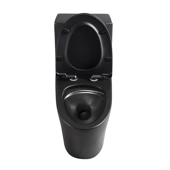 24903074