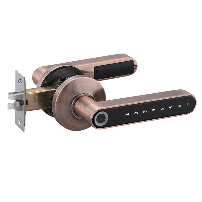 Electronic intelligent fingerprint combination lock