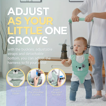 Baby Walker with Detachable Crotch & Adjustable Straps - Ergonomic Design for 9-24 Months, Green