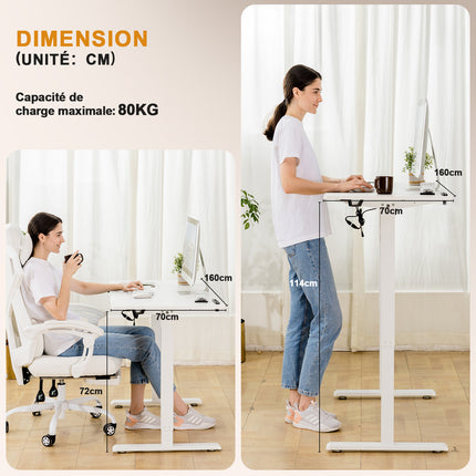 Electric Sit-Stand Desk 160 x 70, Height-Adjustable Table with 2 Memory Settings for Office and Bedroom