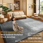 Light Gray / 78.74x118.11inch/200x300cm
