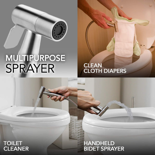 24902981