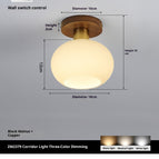 Tricolor Light / 5 Watt Bulb