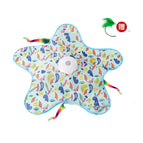 Pentagonal Little Duck / 1200 MAh Protection Board