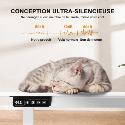 Electric Sit-Stand Desk 160 x 70, Height-Adjustable Table with 2 Memory Settings for Office and Bedroom