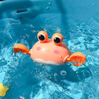 Crab pink