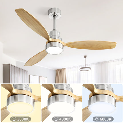 24254161