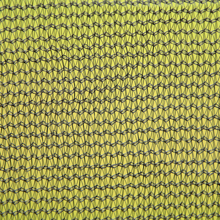 24101812