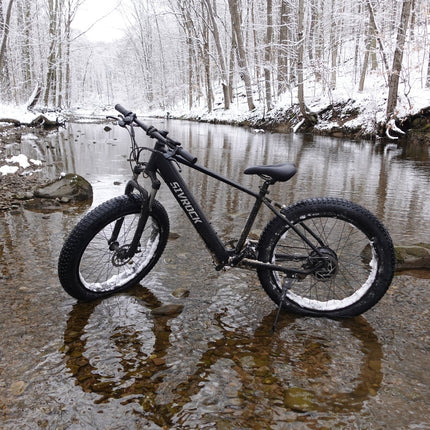 Professional Electric Bike For Adults, 26 X 4.0 Inches Fat Tire Electric Mountain Bicycle, 1000W Motor 48V 15Ah