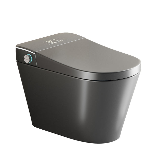 Unique Smart Toile with Built-in Bidet, Intelligent Auto Open/Close Seat, Warm Water & Dryer, Grey Ceramic, One Piece