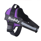 Purple / Baby1