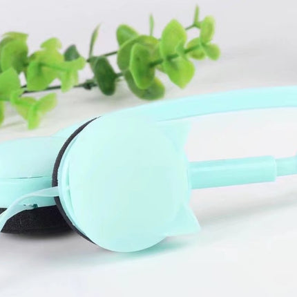 Kitten, ear, wearing headphones