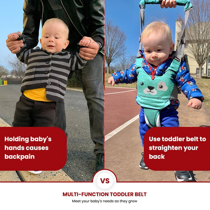 Baby Walker with Detachable Crotch & Adjustable Straps - Ergonomic Design for 9-24 Months, Green