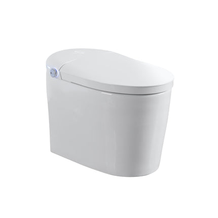 Tankless Smart Toilet With Bidet Built In, One-piece, Auto Flush, Auto Open/Close,Heated Seat, Bubble Wash,Warm Water and Dry, Adjustable Temp,Remote Control Side Know