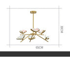 6heads / 3tone light