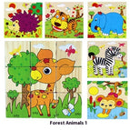 Forest One