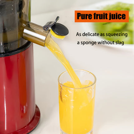 Juicer Slow Masticating Juicer Machine with Rotate Large Feed Chute for Most Fruits and Vegetables, Easy to Clean