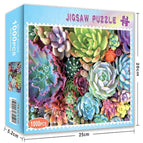 Succulent plants