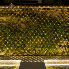 1.5mx1.5m tail plug / Warm light / EU