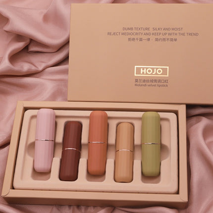 Matte matte lipstick set