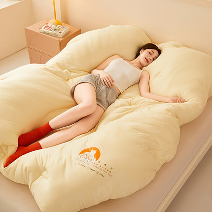 Autumn and Winter New Soft Fluffy Warm Thick Quilt, Cute Pattern, Autumn Winter Quilt Core,