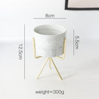 Gold Small Size