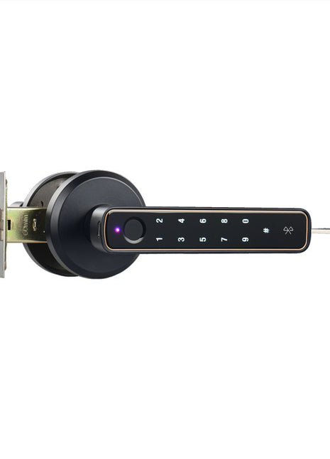 Wooden Door Fingerprint Lock Spherical Smart Lock Bedroom Door Graffiti Bluetooth