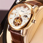 Golden Shell White Surface Brown Belt