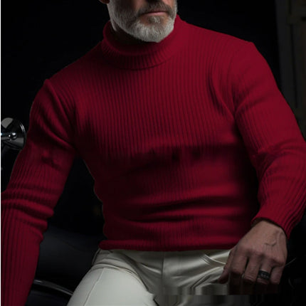 Men's Solid Color Long Sleeve Turtleneck Sweater