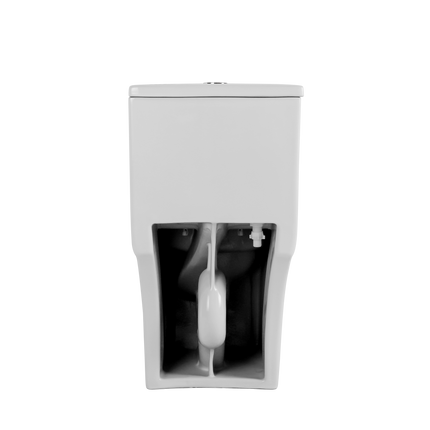 24901967