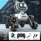Dual Remote Control / 1PCS Battery