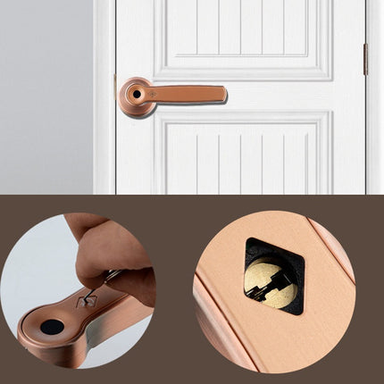 Indoor zinc alloy fingerprint handle lock