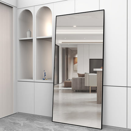 65" * 24 ", Floor Standing Mirror, Unique Vertical Mirror, Black Metal Frame Mirror