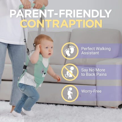 Baby Walker with Detachable Crotch & Adjustable Straps - Ergonomic Design for 9-24 Months, Green