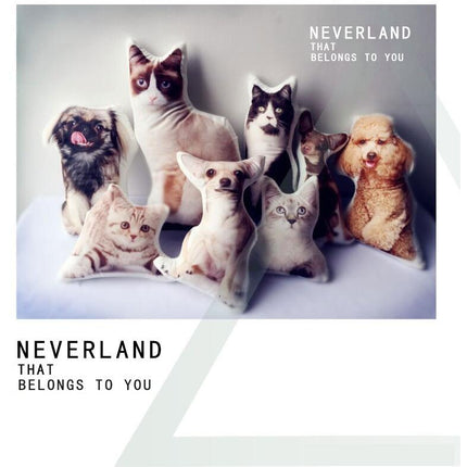 Customize Irregular Pillow Pet Pillow