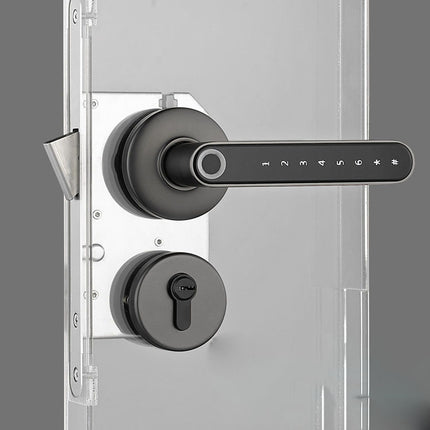 Simple Fingerprint Password Smart Lock Series Made In Zhongshan