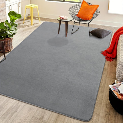 Gray Large Living Room Mat 1pc Coral Velvet Short Pile Soft Minimalist Bedroom Mat Kitchen Mat